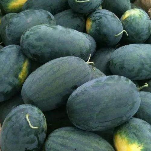 四川校园黑料吃瓜