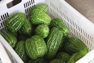 166今日黑瓜吃料A,吃料A深度解析，揭秘热点背后的真相