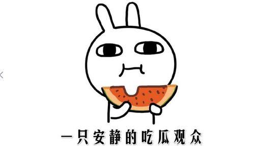 吃瓜门黑料,娱乐圈背后的惊人真相