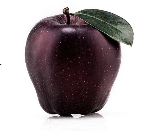 51黑瓜吃料网入口苹果